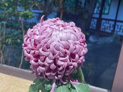-汇龙潭