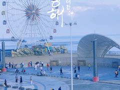 -奉贤海滩