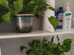 -深蓝盲人推拿·颈肩腰腿疼痛·艾灸调理(清河店)