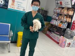 -乖乖宠物医院·猫科·急重症中心(车站北路分院)