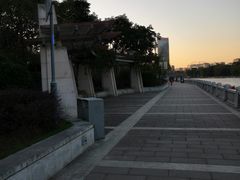 -光明港公园