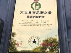 景点-天目湖山水园