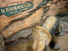 -河南自然博物馆