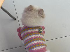 -怪兽屋·羊驼·猫咖·狗咖(俊华广场店)