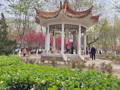 -睦南公园