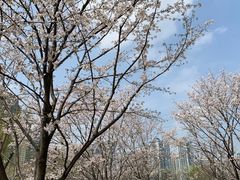 -西北湖绿化广场