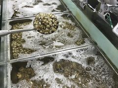 -盒马渔市餐厅