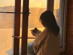-猫的茶·猫咖