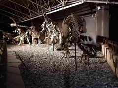 -世界恐龙谷景区