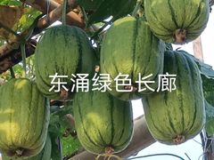 -润记农家菜