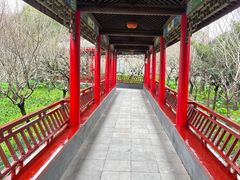 -南汇桃花村