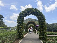 -广州市石门国家森林公园
