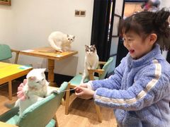 -猫色咖啡·猫咖