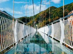 -洛阳白云山景区