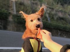 -火炉山森林公园