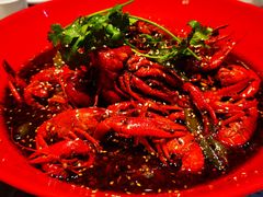 -红辣椒·川菜·火锅(张杨路店)