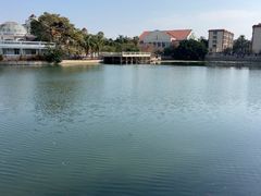 -龙舟池