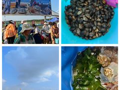 -威海国际海水浴场旅游区