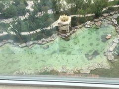 -青岛鑫江温德姆酒店