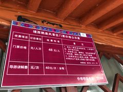 -靖西鹅泉风景区