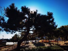 -天津盘山风景名胜区