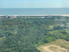 -日照海滨国家森林公园