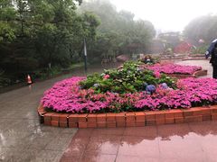-南山植物园