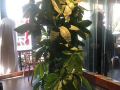 -丹江渔村(望京店)