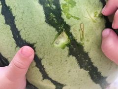 -红星农博物流中心