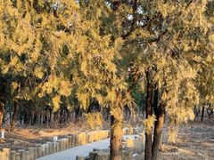 -白水寺森林公园