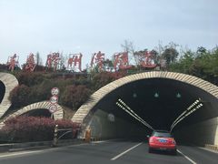 -胶州湾海底隧道
