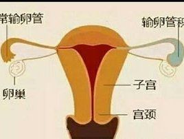 -邢台妇产医院