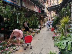 -循礼门鲜花花市(武汉循礼门店)