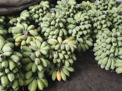 -双福水果批发市场