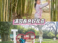 -堤角公园