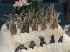 -1718海鲜姿造(苏宁宴请臻选店)
