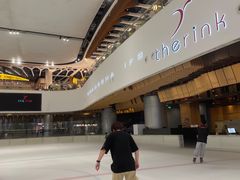 -TheRink大零溜冰场(IFS国金中心店)