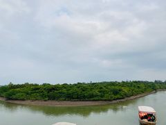 -东寨港红树林旅游区