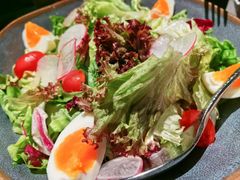 -LES ELITES 英集荟(南京西路店)