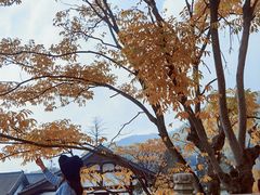 -径山寺