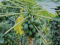 -青芝山风景名胜区