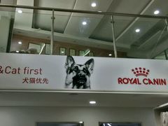 -爱侣宠医·鹦鹉专科·小型哺乳类·异宠专科(灵石路店)