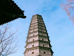 -法门文化景区