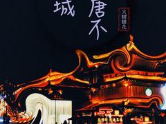 -大唐不夜城
