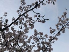 -璞·澐间影院式足道SPA(尚悦湾店)