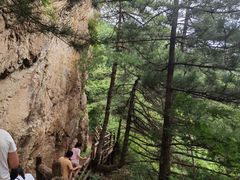 -王顺山国家森林公园