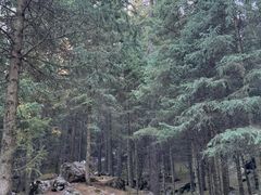 -天山天池风景区-西王母祖庙