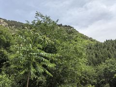 -佛慧山