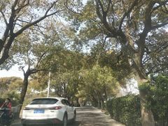 -瀛洲公园