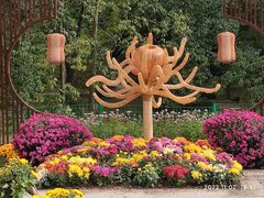 -上海共青森林公园